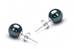 7.5-8mm AAA Quality Japanese Akoya Cultured Pearl Earring Pair in Black