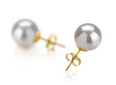 10-11mm AAA Quality South Sea Cultured Pearl Earring Pair in White