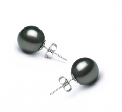 10-11mm AAA Quality Tahitian Cultured Pearl Earring Pair in Black