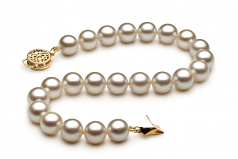 7.5-8mm AAA Quality Japanese Akoya Cultured Pearl Bracelet in White