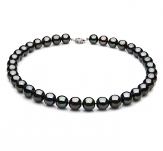 9.5-10.5mm AAA Quality Freshwater Cultured Pearl Necklace in Black