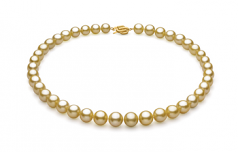 9-11.8mm AAA Quality South Sea Cultured Pearl Necklace in Gold