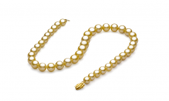 9-11.8mm AAA Quality South Sea Cultured Pearl Necklace in Gold