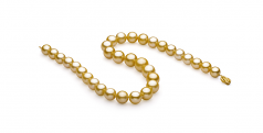 11.5-15.2mm AAA+ Quality South Sea Cultured Pearl Necklace in Gold