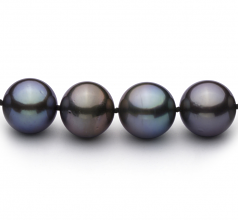 11.1-12.9mm AAA Quality Tahitian Cultured Pearl Necklace in Multicolor