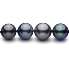 11.1-14.6mm AA+ Quality Tahitian Cultured Pearl Necklace in Multicolor