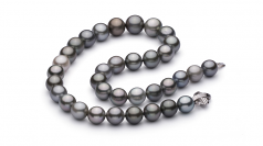 9.2-13.9mm AA+ Quality Tahitian Cultured Pearl Necklace in Multicolor