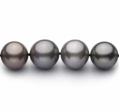 9.2-13.9mm AA+ Quality Tahitian Cultured Pearl Necklace in Multicolor