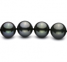 10.9-13.8mm AAA Quality Tahitian Cultured Pearl Necklace in Black