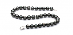 11.1-13.8mm AAA Quality Tahitian Cultured Pearl Necklace in Black