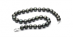 12-12.9mm AAA Quality Tahitian Cultured Pearl Necklace in Black