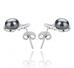 7-8mm AAA Quality Freshwater Cultured Pearl Earring Pair in Bikita Black