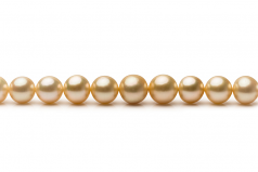 9.3-13.2mm AA+ Quality South Sea Cultured Pearl Necklace in 18-inch Gold