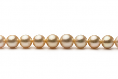 9.2-12.8mm AA Quality South Sea Cultured Pearl Necklace in 18-inch Gold