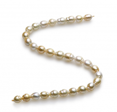 10.4-13mm Baroque Quality South Sea Cultured Pearl Necklace in 18-inch Multicolor