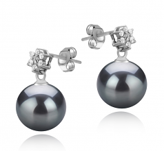 8-9mm AAAA Quality Freshwater Cultured Pearl Earring Pair in Wilma Black