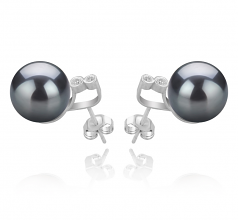 10-11mm AAA Quality Tahitian Cultured Pearl Earring Pair in Hailey Black