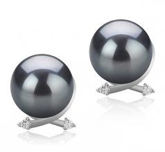 10-11mm AAA Quality Tahitian Cultured Pearl Earring Pair in Berry Black