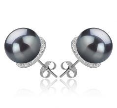 10-11mm AAA Quality Tahitian Cultured Pearl Earring Pair in Tammy Black
