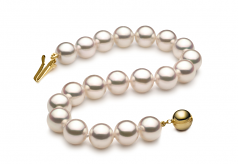 7.5-8mm Hanadama - AAAA Quality Japanese Akoya Cultured Pearl Bracelet in Hanadama 8-inch White