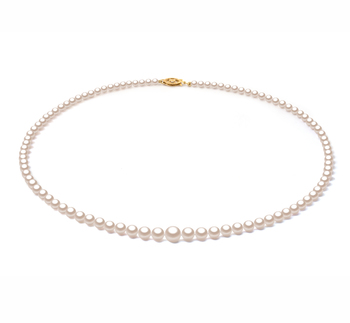 3.7-7.5mm AAA Quality Japanese Akoya Cultured Pearl Necklace in White 3.7-7.5mm AAA Quality Japanese Akoya Cultured Pearl Necklace in White