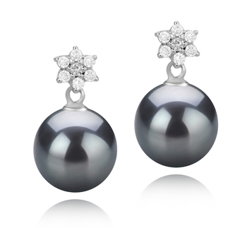 8-9mm AAAA Quality Freshwater Cultured Pearl Earring Pair in Wilma Black