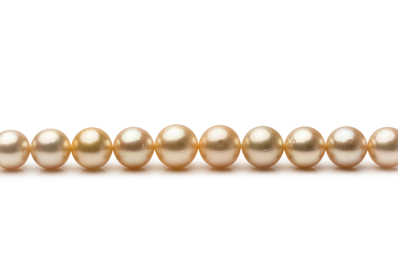 9.3-13.3mm AA Quality South Sea Cultured Pearl Necklace in 18-inch Gold - #3