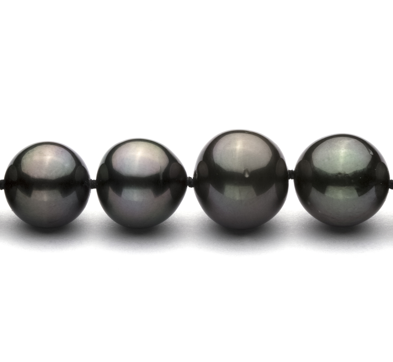 9.5-11mm AA+ Quality Tahitian Cultured Pearl Necklace in Black - #3