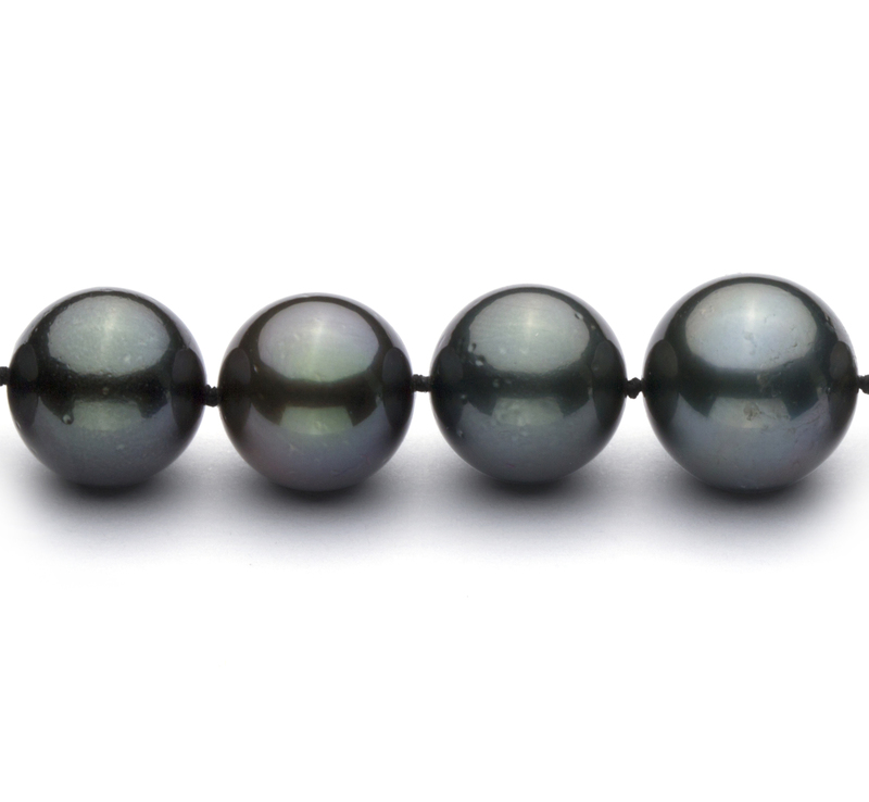 11.2-13.8mm AA+ Quality Tahitian Cultured Pearl Necklace in Black - #3
