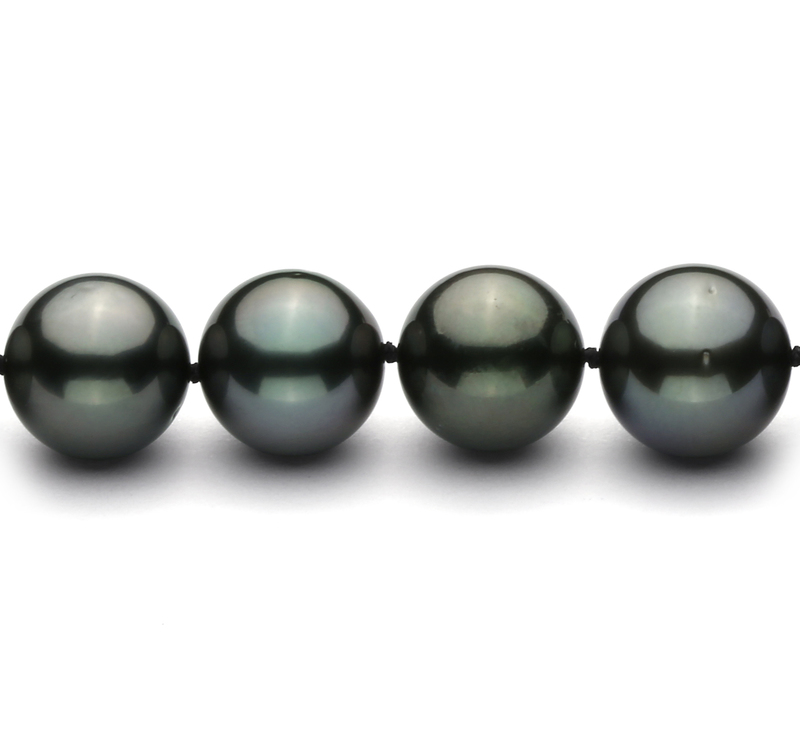 11.3-12.2mm AAA Quality Tahitian Cultured Pearl Necklace in Black - #3