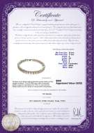 product certificate: FW-W-A-1011-N